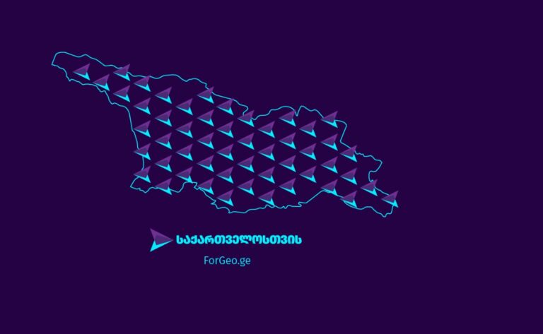 პარტია “საქართველოსთვის” პრემიერ-მინისტრს მიმართავს