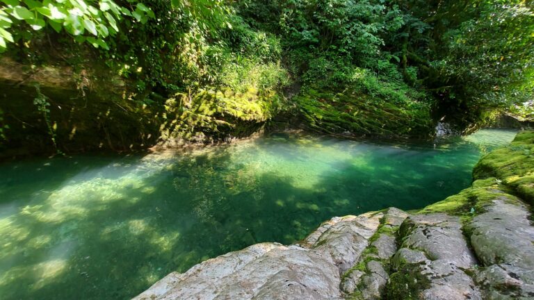 დაცული ტერიტორიების სააგენტო განცხადებას ავრცელებს