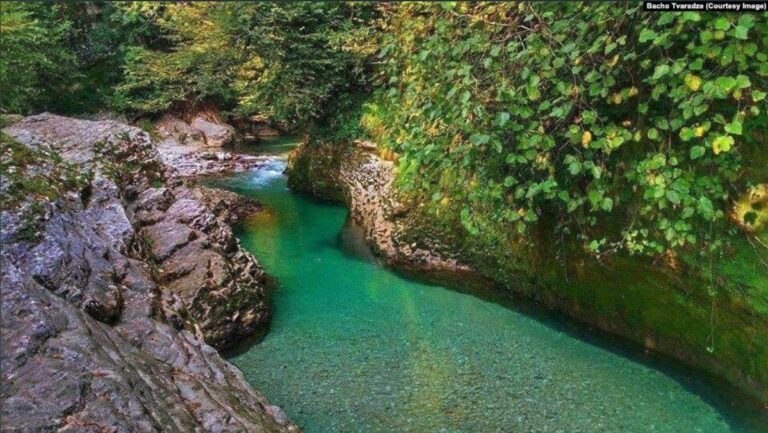 ბალდის კანიონის ტერიტორიაზე ბიომრავალფეროვნებაზე ზემოქმედების შეფასება მოხდება