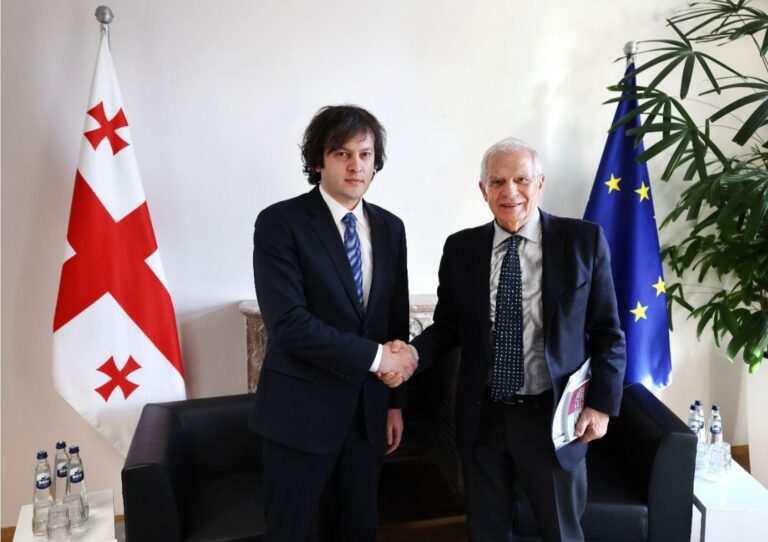 ირაკლი კობახიძე ჯოზეფ ბორელს შეხვდა