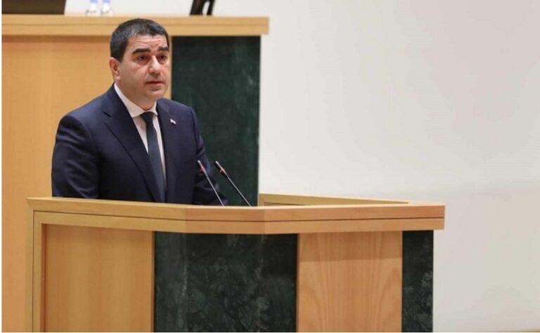 პრეზიდენტი, რომელიც ქვეყნის გამაერთიანებელი უნდა იყოს, ქვეყნის გამთიშველი აღმოჩნდა -შალვა პაპუაშვილი