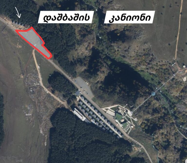 დაცულების თავმჯდომარე კანიონების მიმართ განსაკუთრებული ლტოლვით ყოფილა შეპყრობილი-სალომე სიმონია