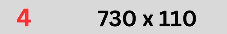 730x110 (1)