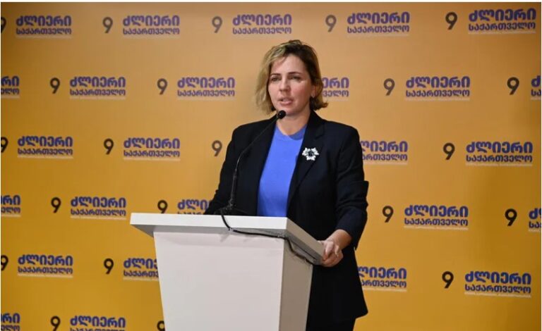 “ჩვენ ვართ განრისხებული იმით, რისი წარმოდგენა და დაწერაც გაბედა ცენტრალურმა საარჩევნო კომისიამ”-ანა დოლიძე