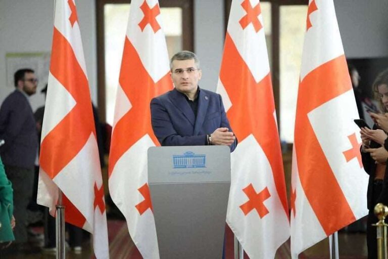 თუ თავმოყვარეობა გააჩნიათ, პარლამენტში არ უნდა შემოვიდნენ -მამუკა მდინარაძე