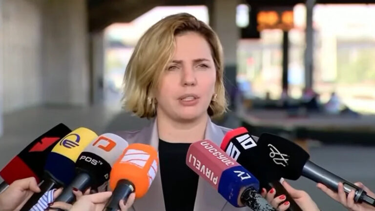 ჩვენ ამ პარლამენტში არ შევალთ და ამ პარლამენტს ქმედით უნარიანობას არ მივანიჭებთ -ანა დოლიძე